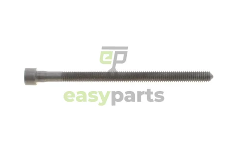 Болт кріплення форсунки VW Caddy 2.0TDI 04-15 ROTWEISS RWS3867¶