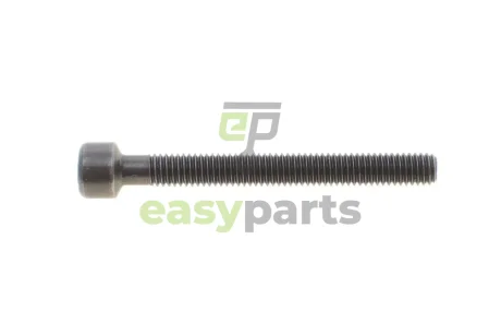 Болт кріплення форсунки VW T5 2.5TDI 96KW ROTWEISS RWS3868