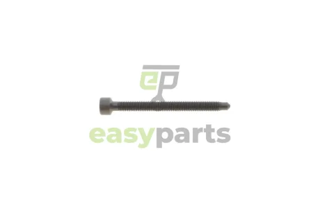 Болт кріплення форсунки VW Caddy/T5 1.9 TDI 03- ROTWEISS RWS3866