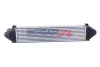INTERCOOLER BOGAP E4220104 (фото 1)
