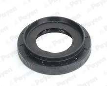 SHAFT SEAL DIFFERENTIAL Payen NA5494 (фото 1)