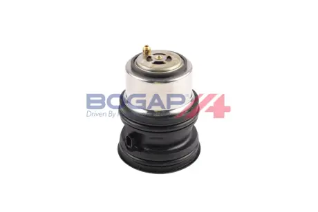 TERMOSTAT BOGAP A4245143
