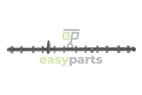 Вал ексцентриковий BMW X5 (E70) (N55/S55) 07-13(після пробного встановлення) Solgy DSC_106004