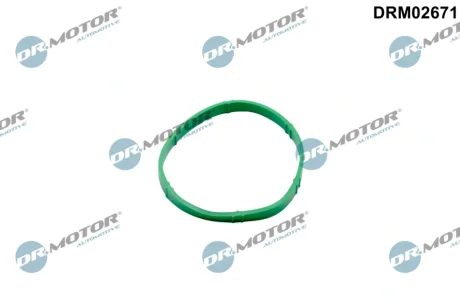 Прокладка дросельної заслiнки DR MOTOR DRM02671