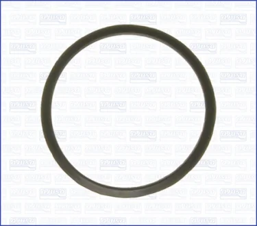 Gasket, thermostat AJUSA 00727600