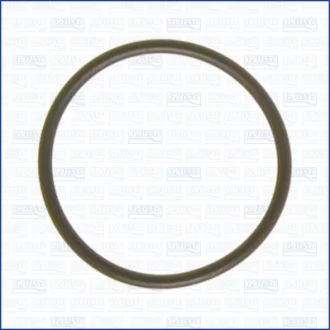 Прокладка впускного коллектора AJUSA 16026300