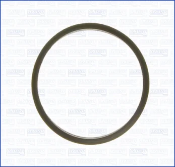 Gasket, thermostat AJUSA 01095400