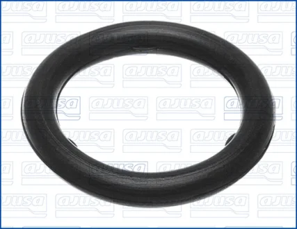 Gasket, thermostat AJUSA 01497800