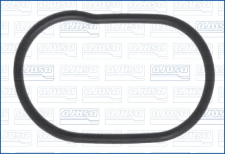 Miscellaneous gasket AJUSA 01239900