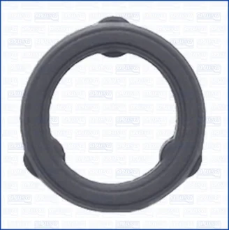 Miscellaneous gasket AJUSA 01506500