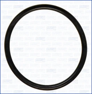 Прокладка впускного коллектора AJUSA 16022700