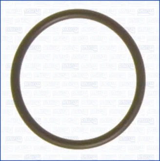 O\'ring AJUSA 16018900