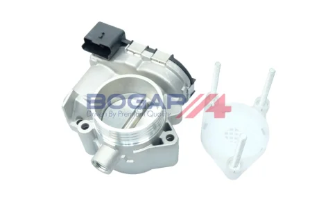 PRZEPUSTNICA BOGAP P6319108