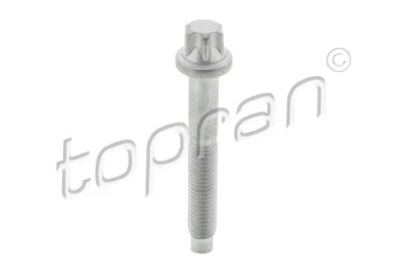Болт крiплення форсунки TOPRAN / HANS PRIES 306289