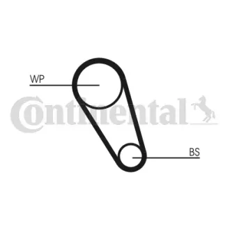 Фото zestaw rozrządu z paskiem + pompa wody Contitech CT1185WP6 ZESTAW ROZRZĄDU Z PASKIEM + POMPA WODY Contitech CT1185WP6