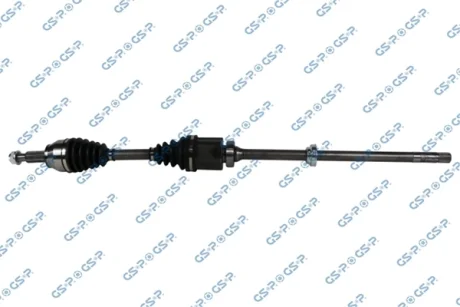 POLOS PR GSP 203888