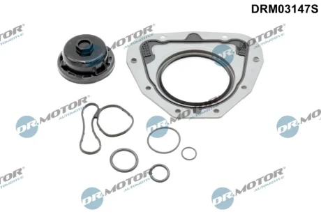 ZESTAW USZCZELEK BLOKU DR MOTOR DRM03147S
