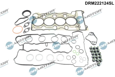 ZESTAW USZCZELEK GLOWICY DR MOTOR DRM222124SL