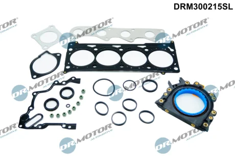 ZESTAW USZCZELEK GLOWICY DR MOTOR DRM300215SL