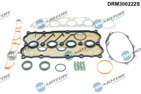 ZESTAW USZCZELEK GLOWICY DR MOTOR DRM300222S
