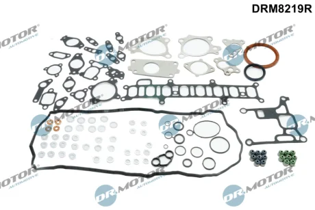 ZESTAW USZCZELEK GLOWICY DR MOTOR DRM8219R