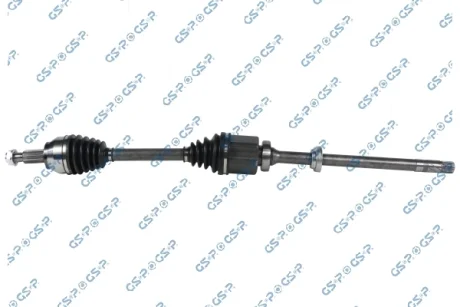 POLOS PR GSP 256229