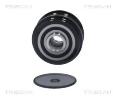 NISSAN Маточина колеса задн. (з підшипн.) NV200 e-NV 14- TRISCAN 8530 14271