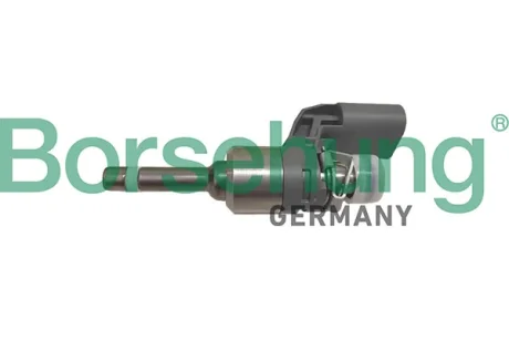 Паливна форсунка VAG BORSEHUNG B11172