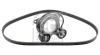Multi-V-belt set with tensioner fits: BMW 3 (G20, G80, G28), 3 (G21), 3 (G21, G81), 4 (G22, G82), 4 (G23, G83), 4 GRAN COUPE (G26), 5 (G30, F90), 5 (G31), 6 GRAN TURISMO (G32) 2.0-3.0H 08.18- 187741