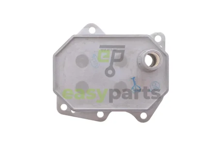 Радіатор масляний Ford Transit 2.2D/2.4D 06-(без прокладок) NRF DSC_31212