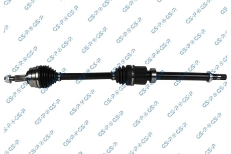 POLOS PR GSP 204276