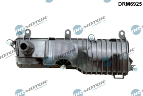 Клапан вентиляцiї картера DR MOTOR DRM6925