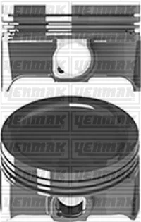 Поршень с кольцами і пальцем (размер отв. 77 / +0.5) (CFNA) (Бензин, 4ц) Yenmak 31-04339-050 (фото 1)