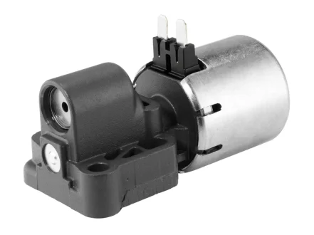 Клапан BorgWarner 203565 (фото 1)