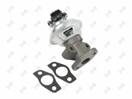 ZAWOR EGR Abakus 12101129