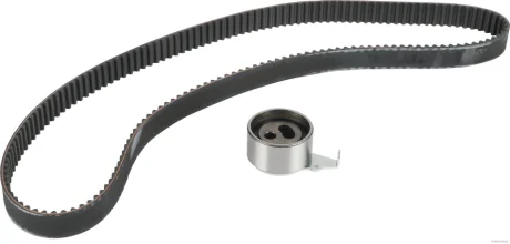 Роликовий модуль натягувача ременя (ролик, ремінь) HERTH+BUSS / JAKOPARTS J1113047 (фото 1)