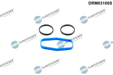 ZESTAW USZCZELEK POMPY OLEJU DR MOTOR DRM03100S