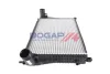 INTERCOOLER BOGAP A4220117 (фото 1)