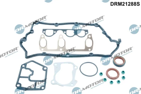 Комплект прокладок з різних матеріалів DR MOTOR DRM21288S