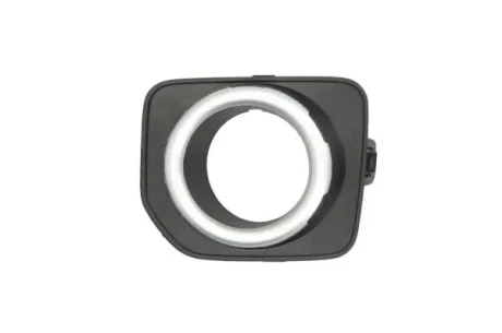 Елемент бампера BLIC 6502076490913P