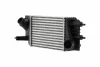Intercooler NISSAN HELLA 8ML366470771 (фото 1)