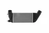 Intercooler FIAT PSA HELLA 8ML366470811 (фото 2)