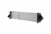 Intercooler FORD HELLA 8ML366470981 (фото 1)