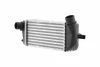 Intercooler FIAT FORD HELLA 8ML366471001 (фото 1)