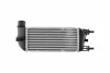 Intercooler FIAT FORD HELLA 8ML366471001 (фото 3)