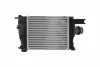 Intercooler DACIA RENAULT HELLA 8ML366471081 (фото 3)