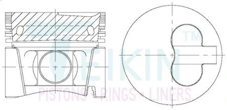 Поршень TEIKIN 44624050