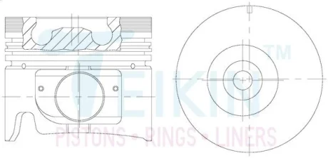 Поршень TEIKIN 39181ASTD