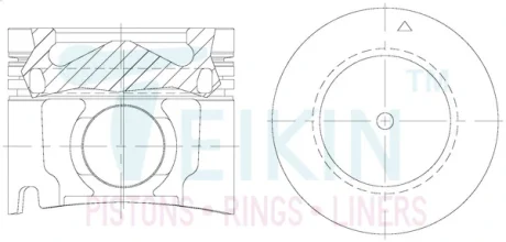 Piston set std 4jj1-tc alf gal TEIKIN 39674AGSTD