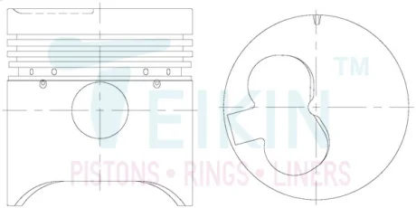 Поршень TEIKIN 46123STD